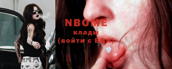 сатива Балахна