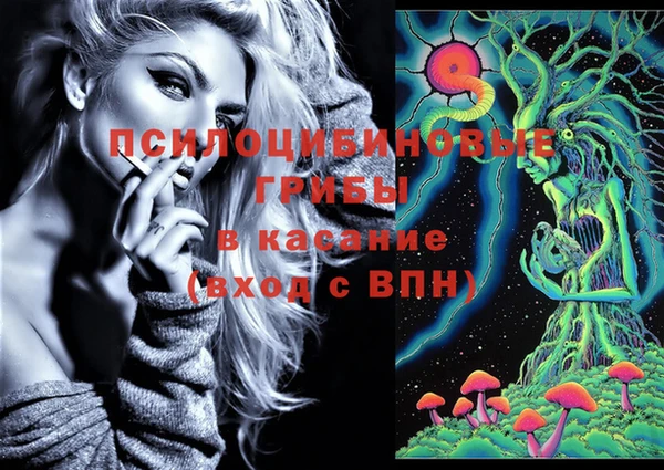 сатива Балахна