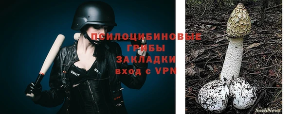 сатива Балахна