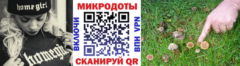 Купить закладки  Усть-Илимск  Псилоцибиновые грибы ЛСД 